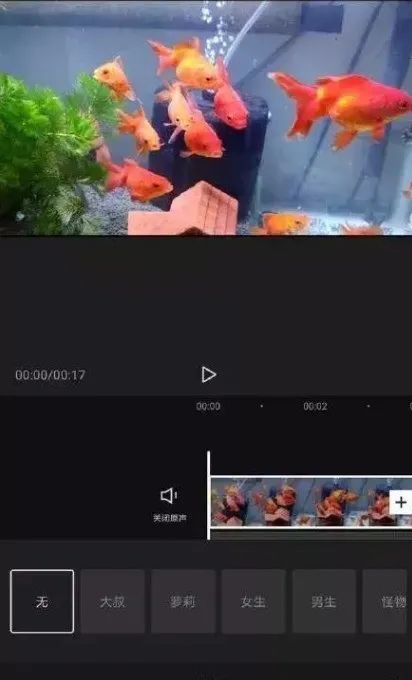 视频号怎么制作视频(新手怎么学剪辑视频)