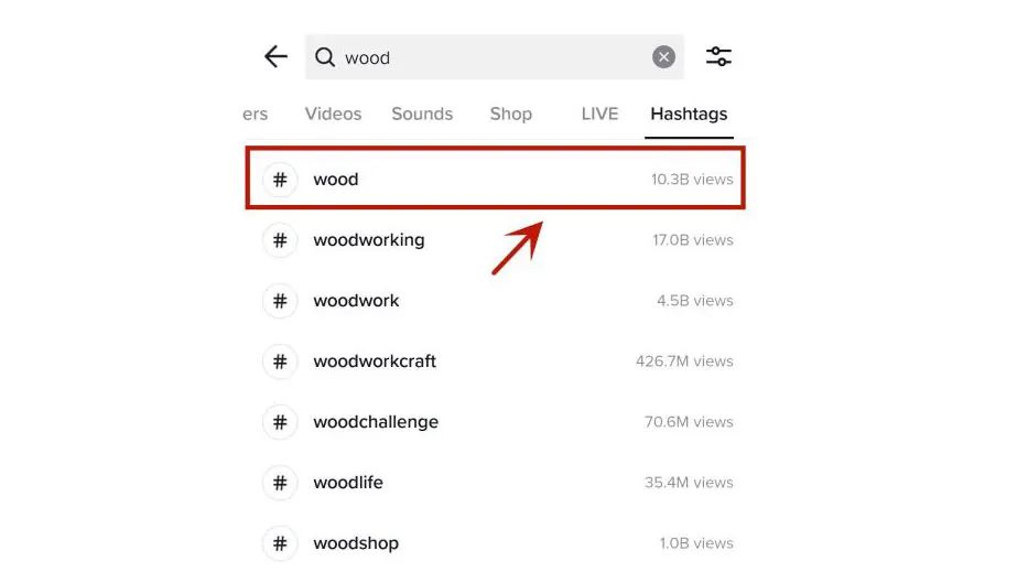国外抖音TikTok怎么玩(TikTok详细运营操作教程)