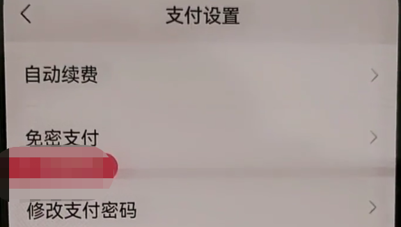 拼多多免密支付怎么关闭(免密支付怎么关掉)