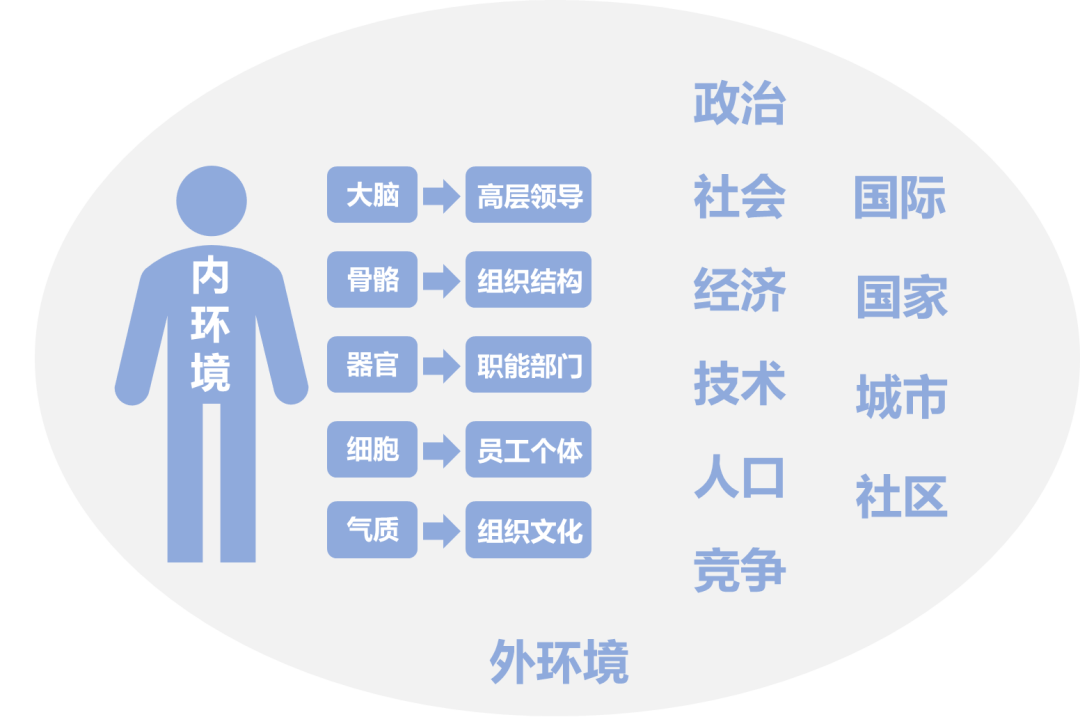 OD岗位是什么意思(OD岗位工作内容及工作职责)