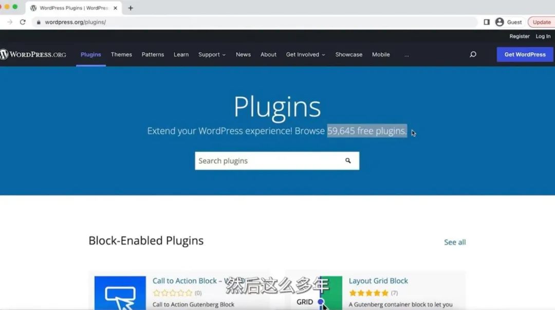 独立站建站哪个好(Shopify和 WordPress对比)