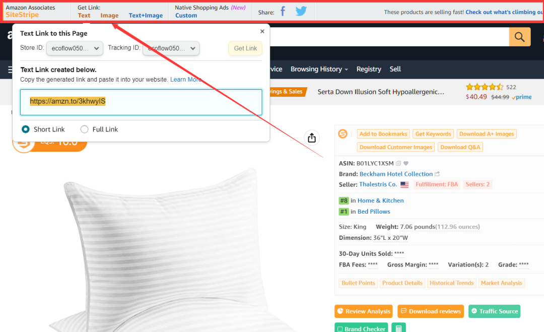 亚马逊联盟是什么(亚马逊联盟注册教程)