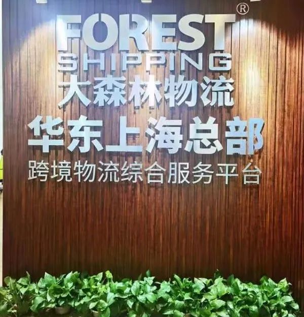 大森林物流-综合跨境物流服务商