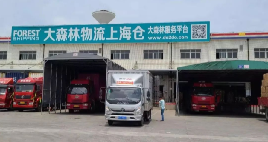 大森林物流-综合跨境物流服务商