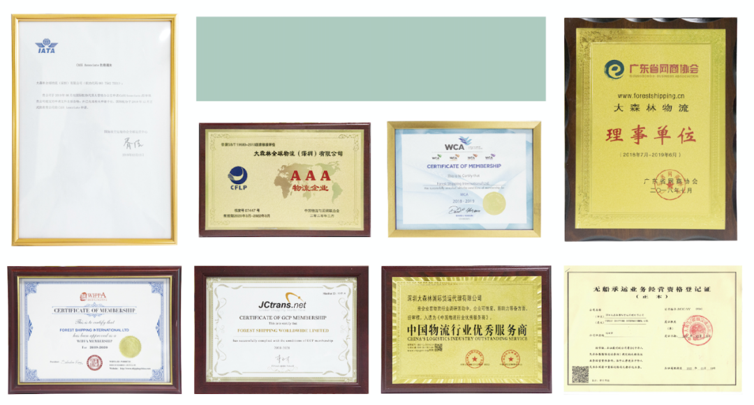 大森林物流-综合跨境物流服务商