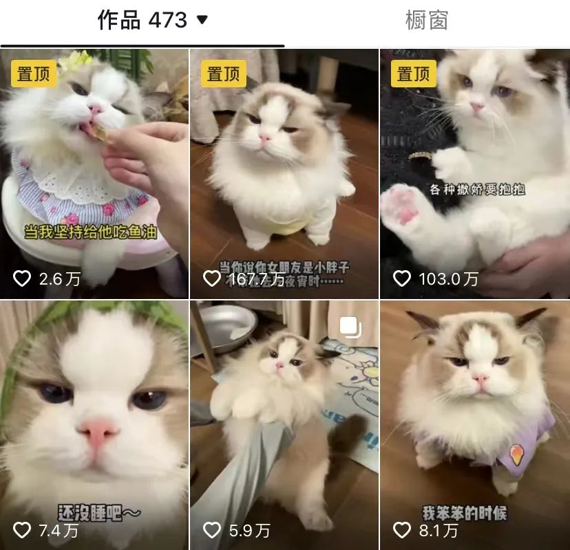 什么内容在抖音容易火(抖音什么内容吸粉快)