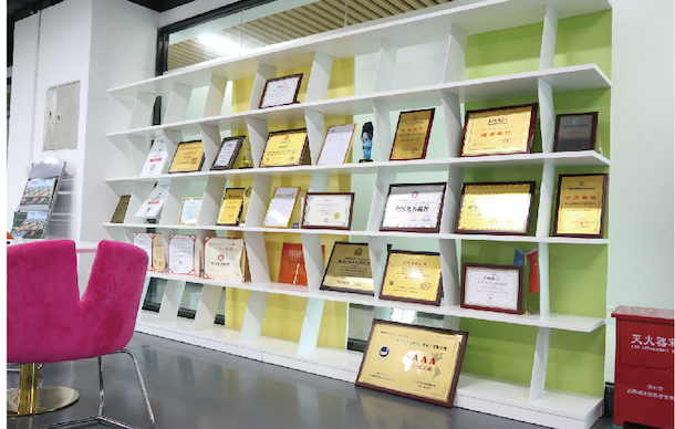 大森林物流-综合跨境物流服务商