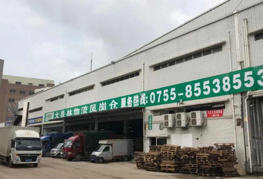 大森林物流-综合跨境物流服务商