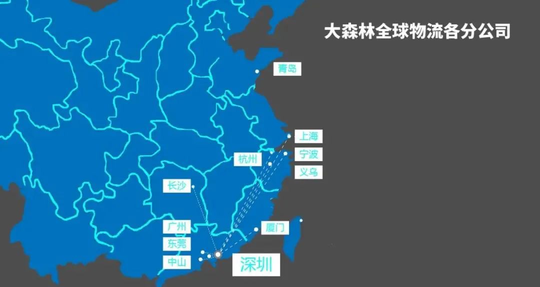 大森林物流-综合跨境物流服务商