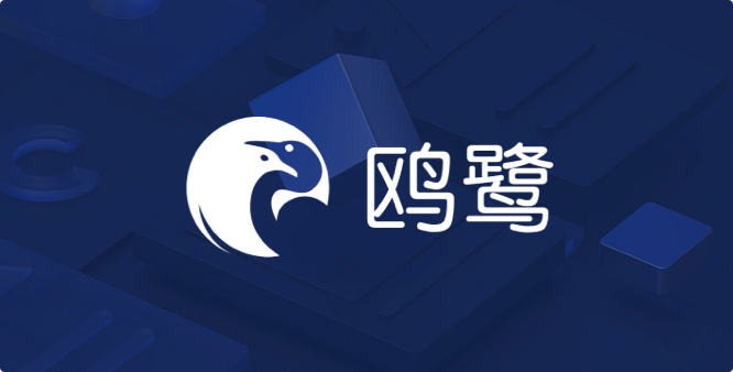 鸥鹭-跨境电商大数据选品与流量分析工具