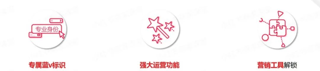 小红书专业号怎么申请(小红书专业号申请流程)