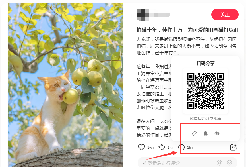 小红书图片怎么保存无水印(图片去水印方法)