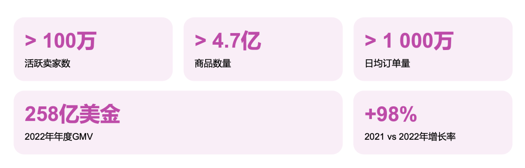 Wildberries平台怎么入驻(Wildberries开店指南)