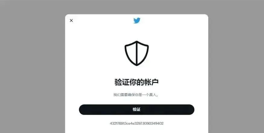 国内怎么上推特Twitter(推特注册使用详细教程)