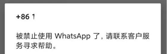 外贸WhatsApp如何开发客户(WhatsApp使用教程)