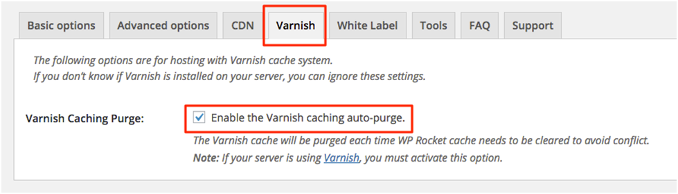 WP Rocket WordPress缓存优化插件(配置教程)