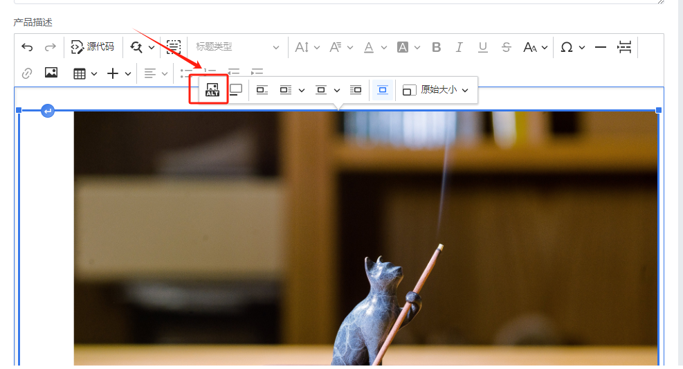 独立站如何优化图片(独立站图片SEO优化技巧)