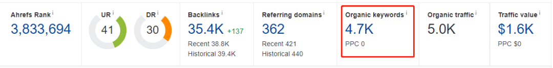 独立站建站Shopify和WordPress哪个好(两者区别)