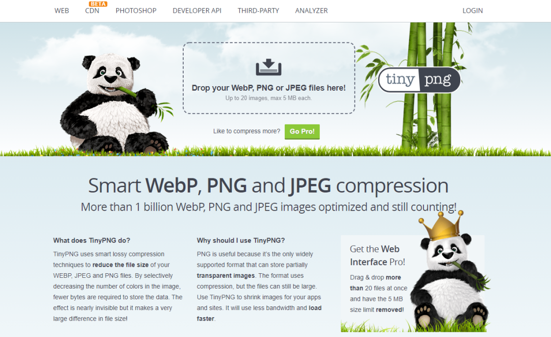 Google SEO图片如何优化(谷歌SEO基础教程)