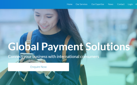 PacyPay-跨境支付平台