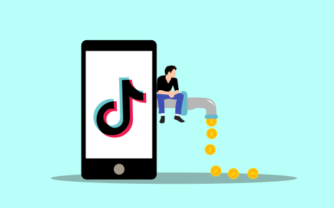 TikTok在马来西亚上线先买后付功能