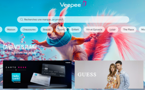 Veepee-法国电商平台