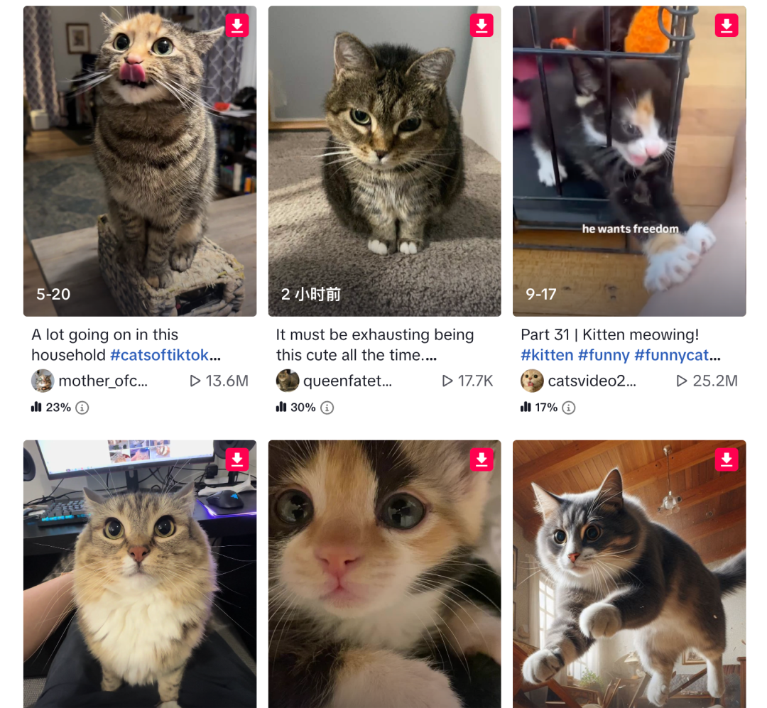 TikTok视频无水印在线解析(详解怎么保存到相册)