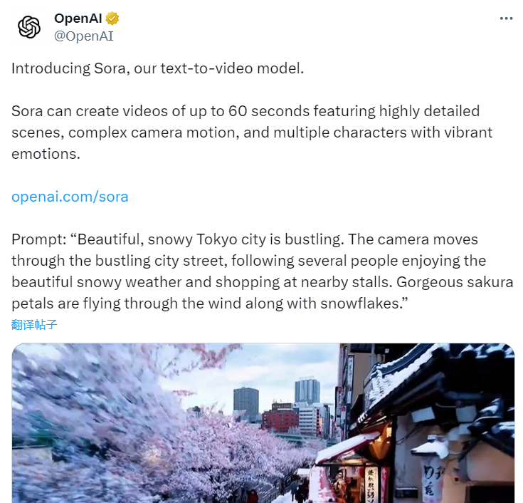 Sora-人工智能文生视频大模型