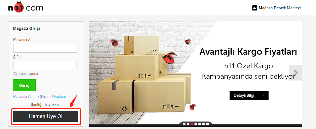 N11-中东电商平台