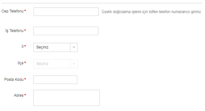 N11-中东电商平台