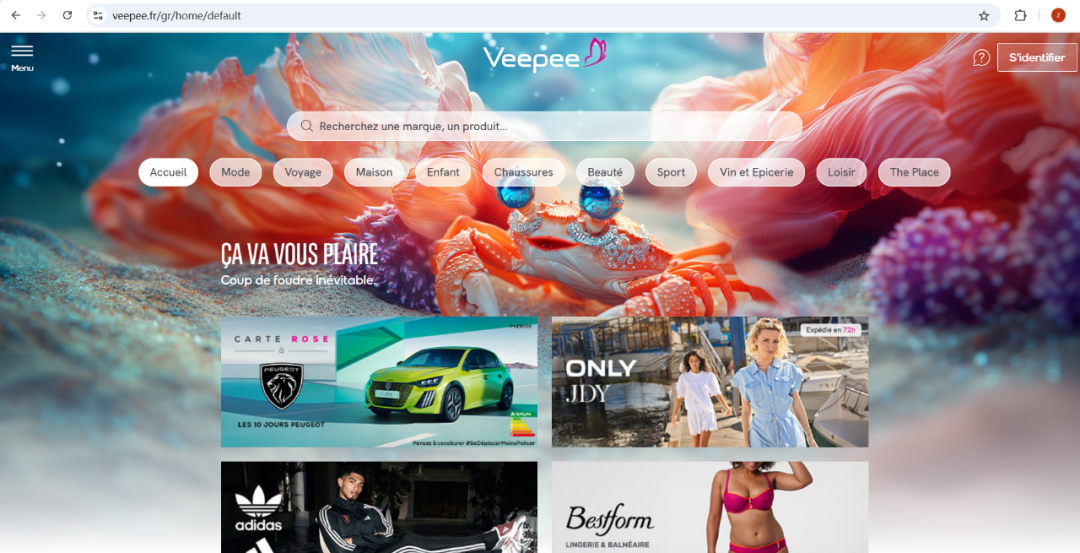 Veepee-法国知名电商平台