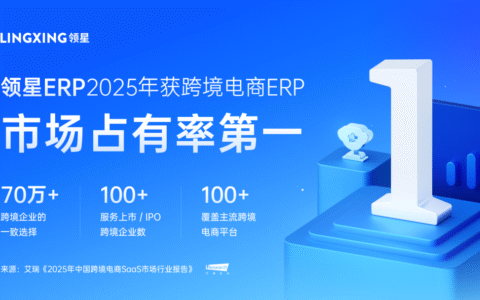 2025跨境SaaS行业报告 领星ERP市场占有率第一