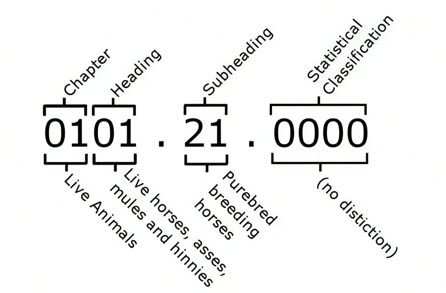 HS编码怎么查询(一文深度解读HS编码)