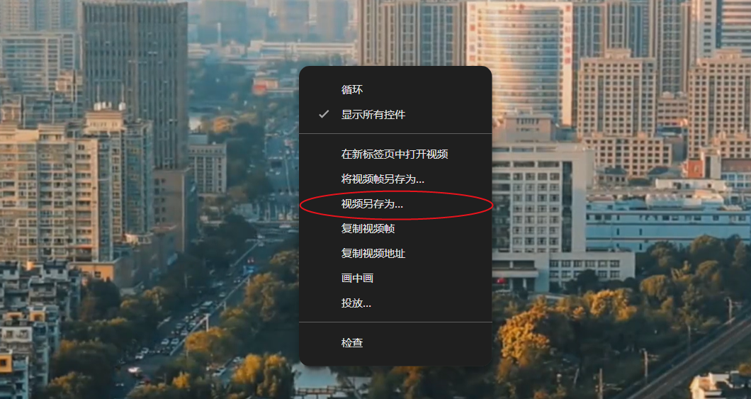 短视频无水印解析工具(视频批量下载软件)