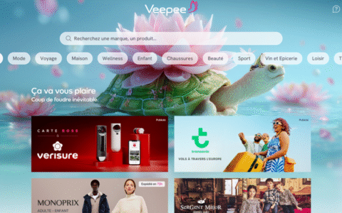 Veepee电商平台怎么样(Veepee入驻条件费用流程)