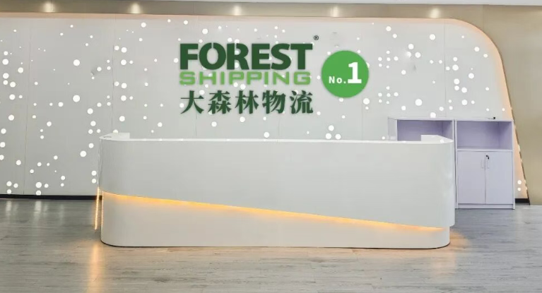 大森林物流-综合跨境物流服务商