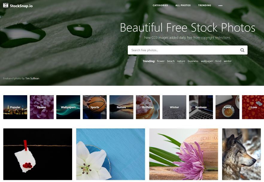 StockSnap-高质量免版权图片素材库网站