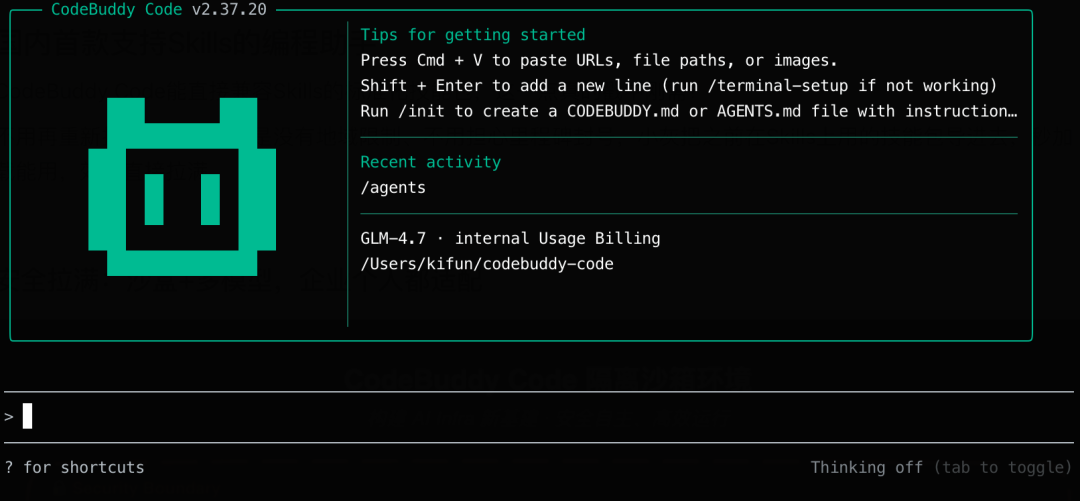 CodeBuddy Code是什么(如何使用CodeBuddy Code)